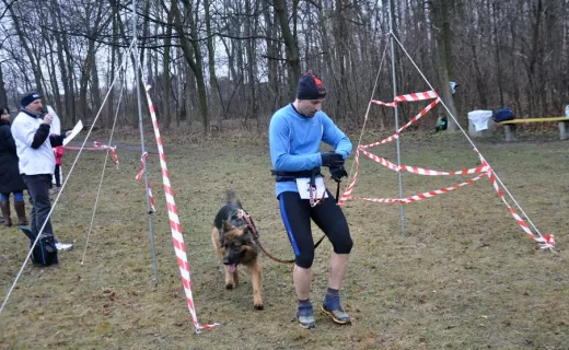 Gliwice po raz drugi sprowokowane do biegania [ZDJĘCIA] - 59