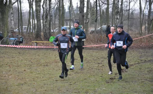Gliwice po raz drugi sprowokowane do biegania [ZDJĘCIA] - 113