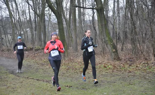Gliwice po raz drugi sprowokowane do biegania [ZDJĘCIA] - 122