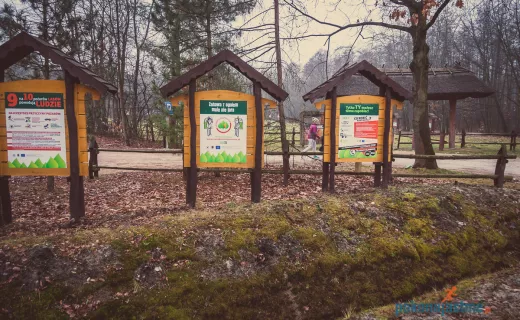 Bartłomiej Trela zaprasza do Wierzchosławic – Dwudniaków k. Tarnowa - 5