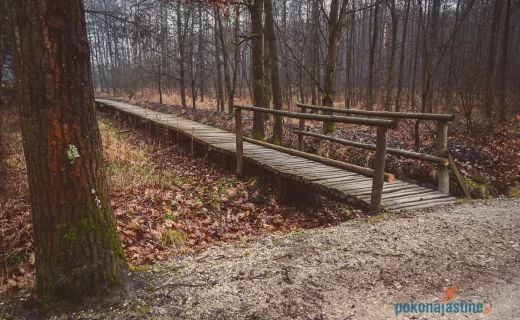 Bartłomiej Trela zaprasza do Wierzchosławic – Dwudniaków k. Tarnowa - 7