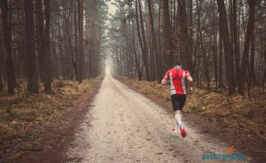 Bartłomiej Trela zaprasza do Wierzchosławic – Dwudniaków k. Tarnowa - 1