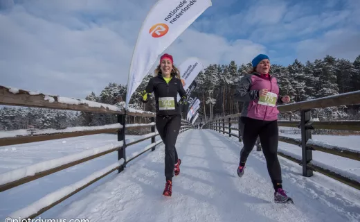CITY TRAIL w Olsztynie, Trójmieście i Szczecinie (16-17.1.2016)