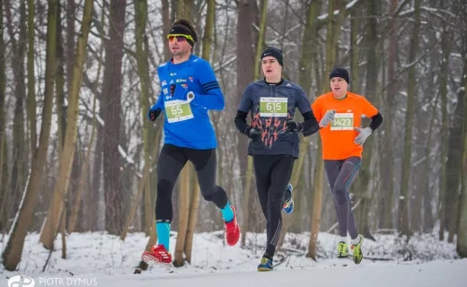 CITY TRAIL w Lublinie, Warszawie i Łodzi (23-24.1.2015)