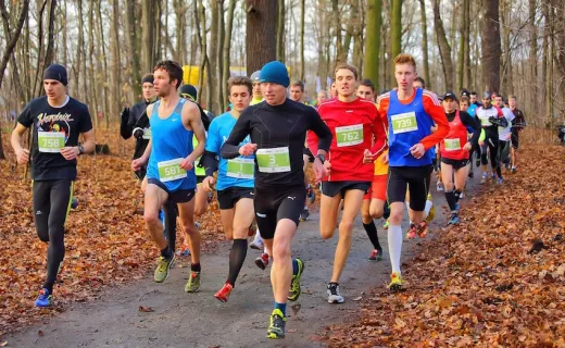 CITY TRAIL we Wrocławiu, Katowicach i Szczecinie (21-22.11.2015)