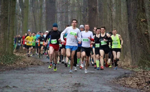 Grand Prix CITY TRAIL we Wrocławiu i Katowicach (28-29.3.2015)