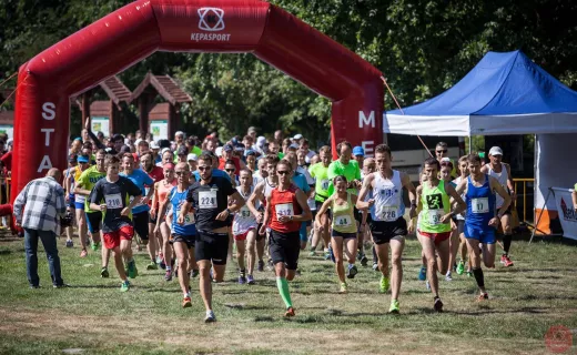 Wierzchosławicki Leśny Półmaraton - 23.08.2015 - 8
