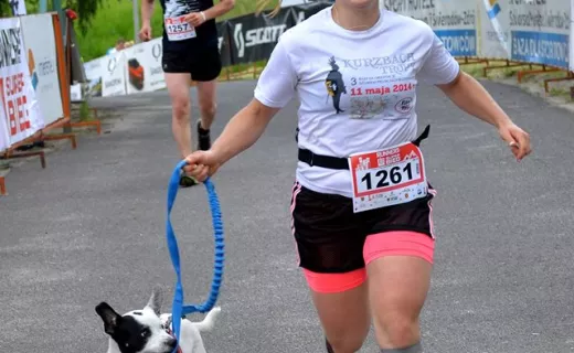 Interferie RUN: Piknikowali w Górach Izerskich [ZDJĘCIA] - 8