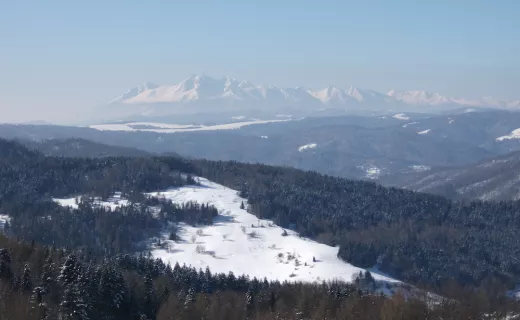 „Tropem Wilczym” przez Beskid Sądecki - 5