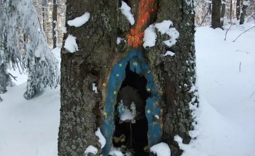 „Tropem Wilczym” przez Beskid Sądecki - 13
