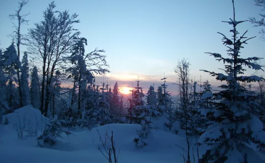 „Tropem Wilczym” przez Beskid Sądecki - 7