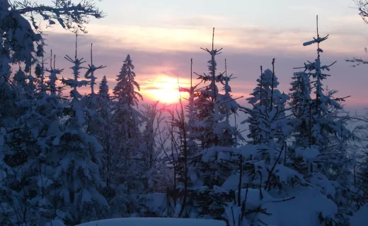 „Tropem Wilczym” przez Beskid Sądecki - 6