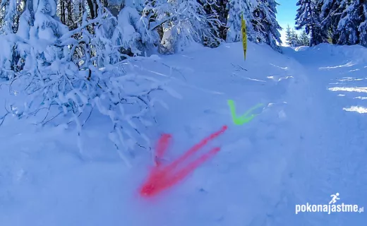 Siłowy i palący ICEBUG Winter Trail 2015 [ZDJĘCIA] - 4