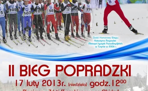 Panewnicki Bieg Dzika w Katowicach - cały rok 2015 i 2016 - 4