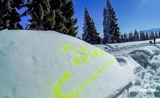Siłowy i palący ICEBUG Winter Trail 2015 [ZDJĘCIA] - 21