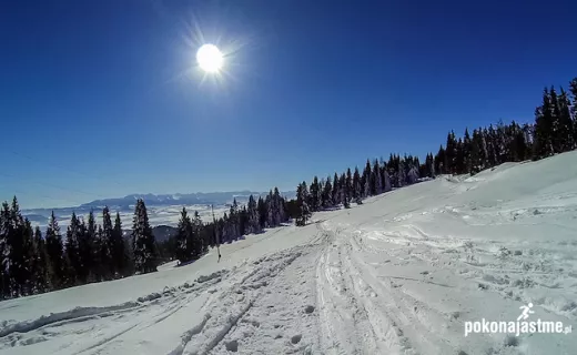Siłowy i palący ICEBUG Winter Trail 2015 [ZDJĘCIA] - 18