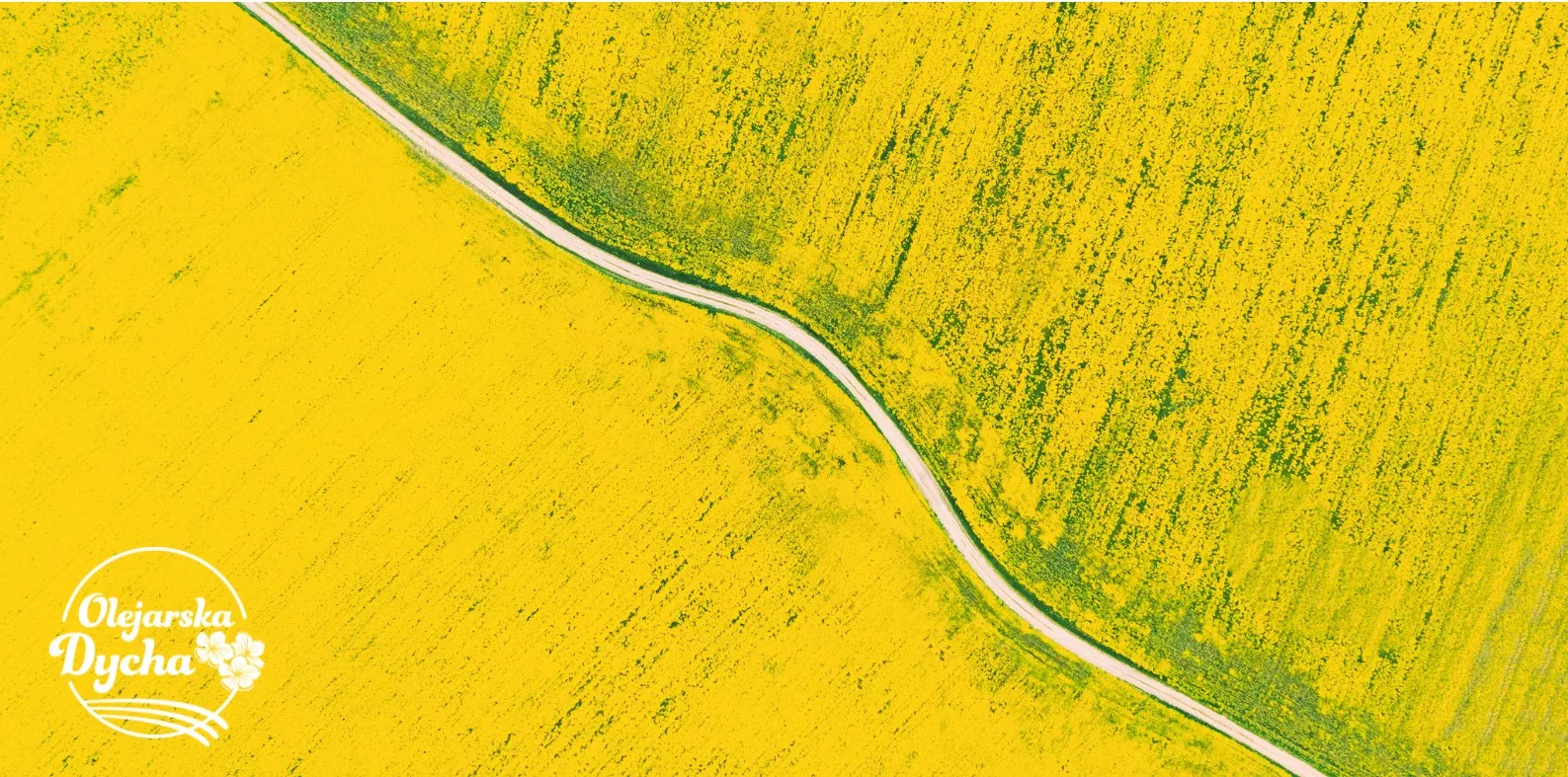 Tłuszcze dobre dla biegacza. A biegamy w Olejarskiej Dysze