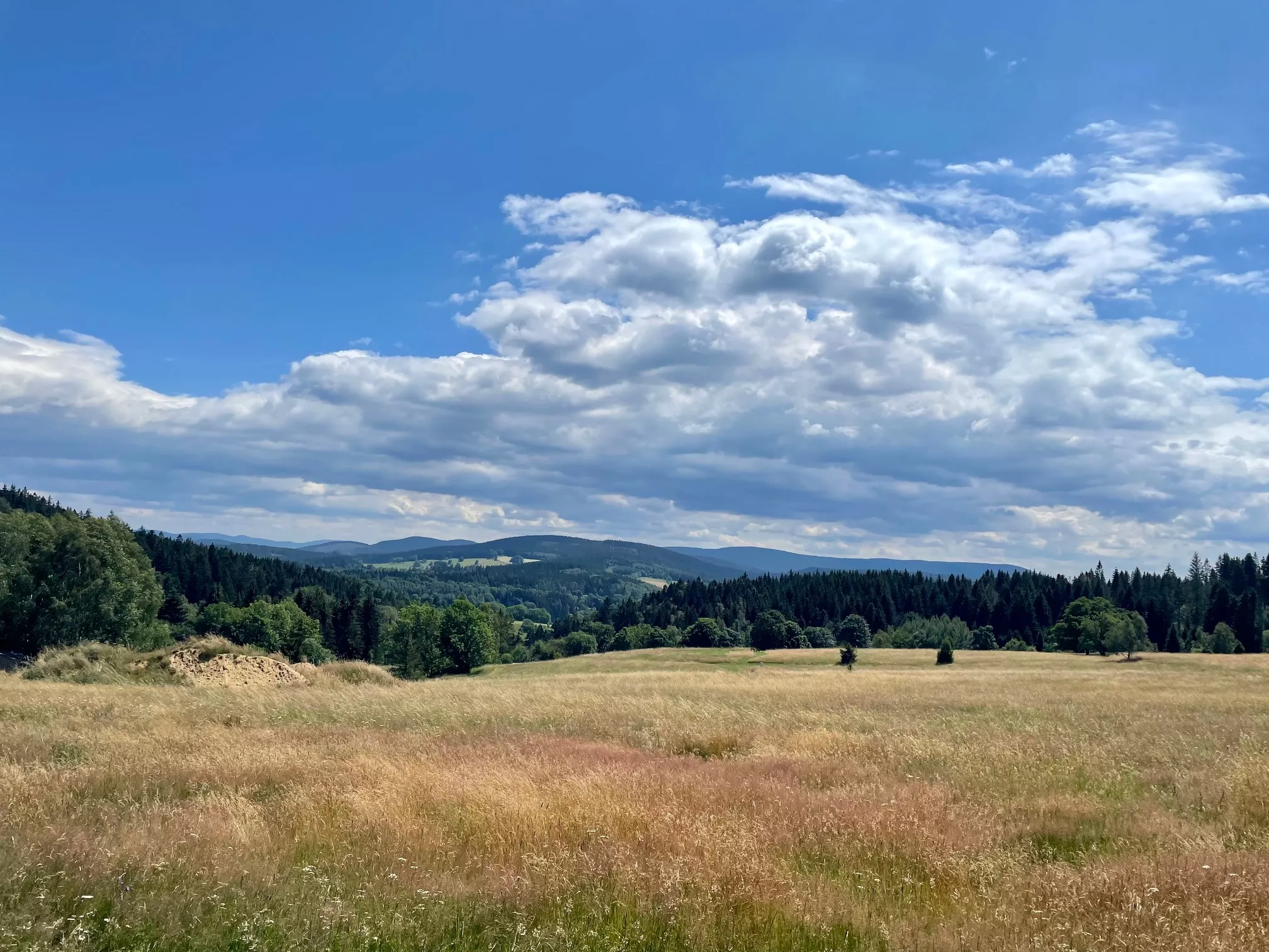 Dolnośląski Festiwal Biegów Górskich