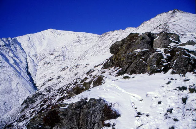 Creative Commons Attribution-Share Alike 2.0