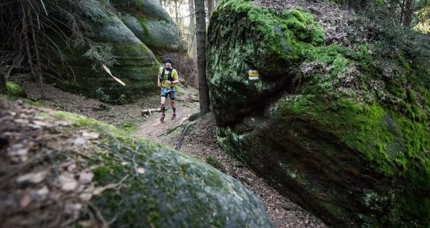 Fot. Kudowski Festiwal Biegowy Fot. Kudowski Festiwal Biegowy