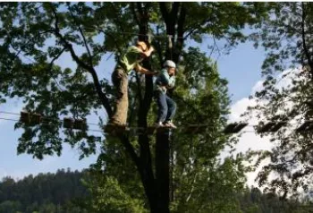 PARKI LINOWE ABlandia