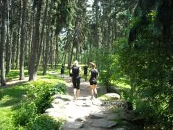 Women?s Run to cykl bezpłatnych treningów dla kobiet