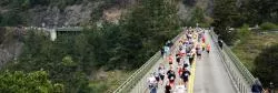 Whidbey Island Marathon