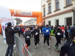 Festiwal w Rzeszowie