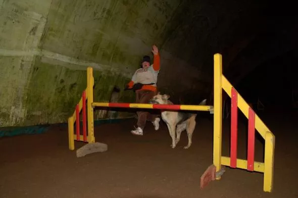 O dobry nastrój P. Aleksandra dba też ukochany pies