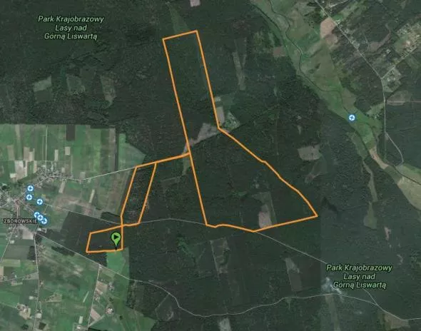 Trasa biegu, Obręb Patoka – Leśnictwo Zborowskie