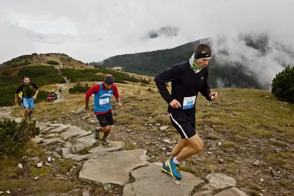 fot. T. Dzięgielewski