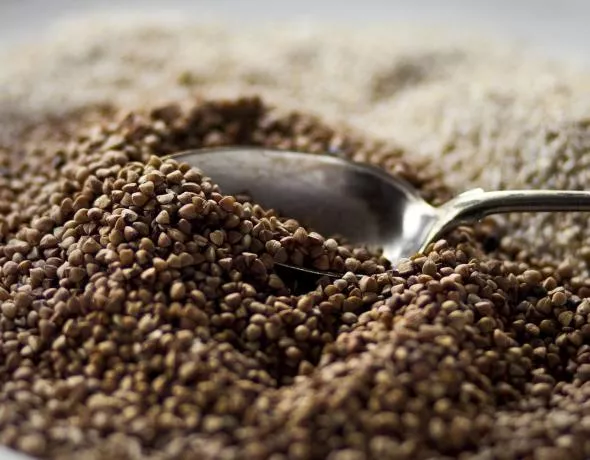 Kasza gryczana Kasza gryczana