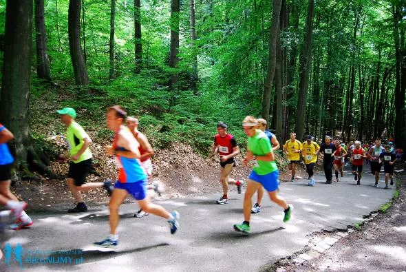 Kros po Chełmskiej 2013