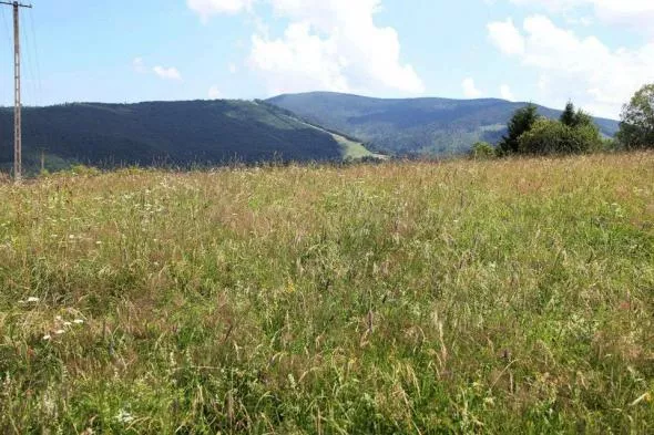 Perły Małopolski Perły Małopolski