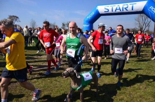 Wola Biegania w Poznaniu. Fot. Archiwum organizatora