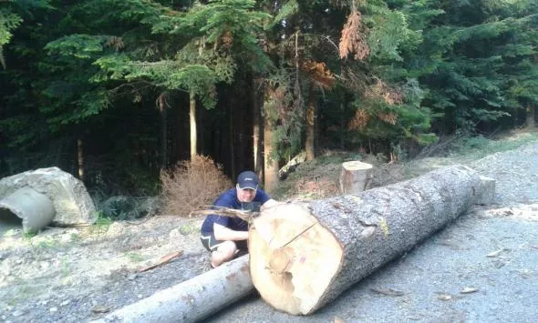 Jak się robi fotki na bloga