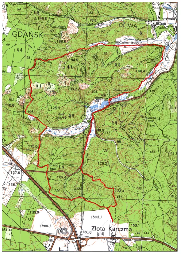 Trasa 11 km. Zawody odbędą się Trójmiejskim Parku Krajobrazowym