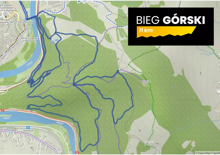 Bieg Górski 11 km