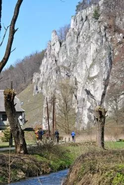 Skala