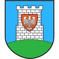 Partner Festiwal Biegowy