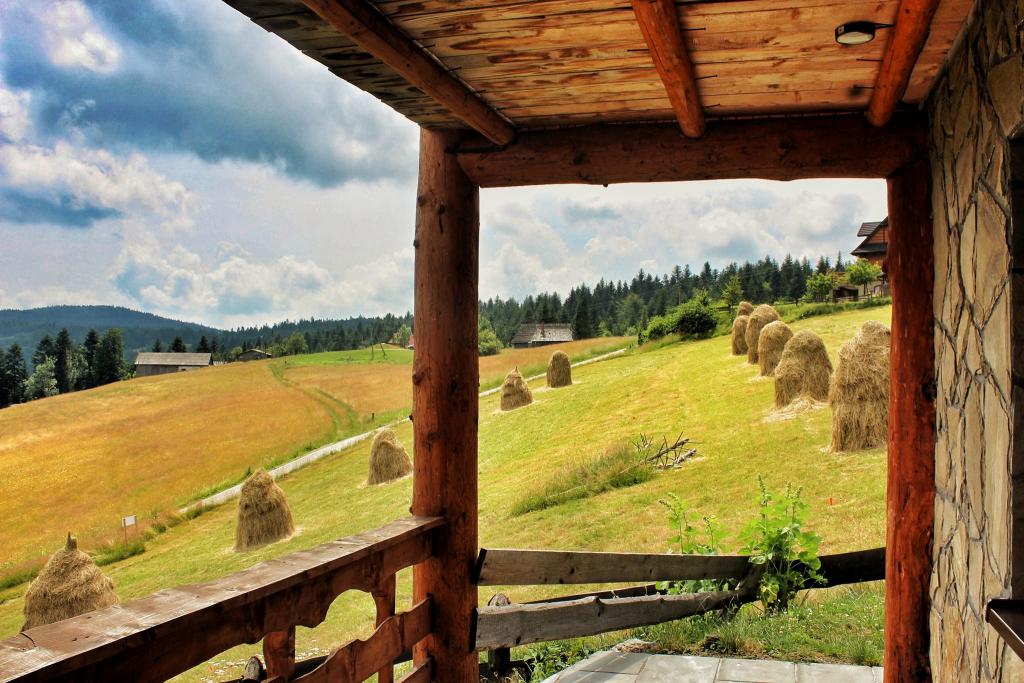 Odkrywamy Piwniczą: wybierz nocleg na Obidzy, wśród szczytów