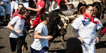 The Great Bull Run / Fot. Facebook