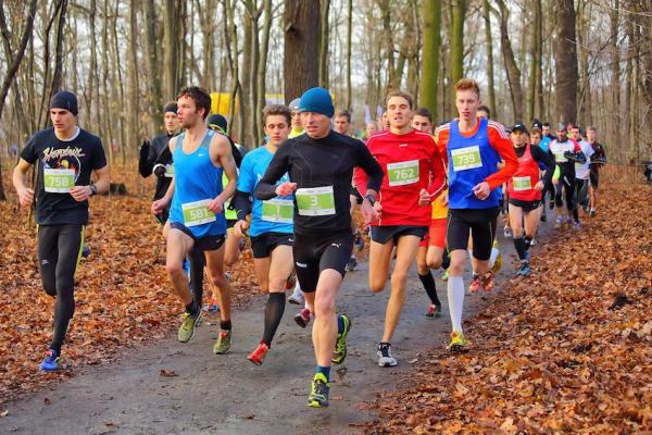 CITY TRAIL we Wrocławiu, Katowicach i Szczecinie (21-22.11.2015)