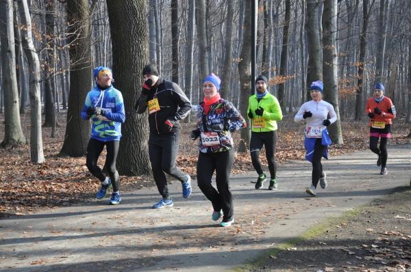 Gliwicka Parkowa Prowokacja Biegowa - runda 1 (19.1.2019)