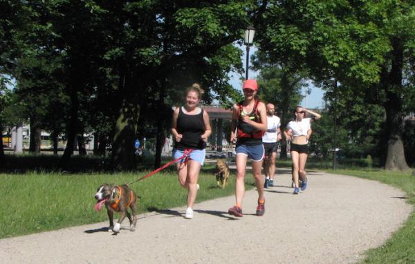 parkrun i psy w Łodzi (4.7.2015)