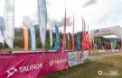 tauron-2.jpg