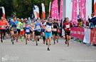 DSC_0461-min_wynik.jpg