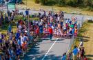 DJI_20240908114220_0657_D.jpg